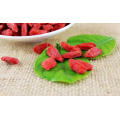 china ningxia goji berry slimming diet berry